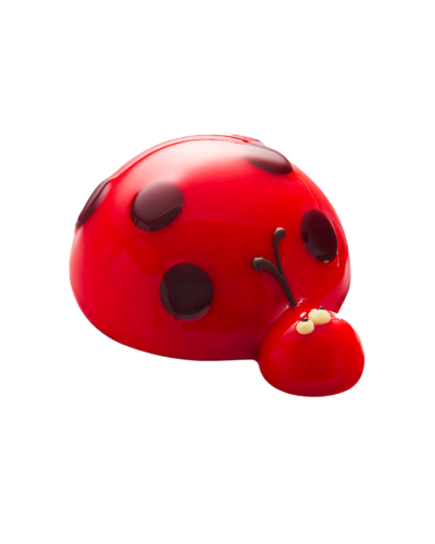 Gâteau Glacé Coccinelle
