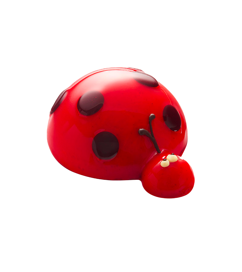 Gâteau Glacé Coccinelle